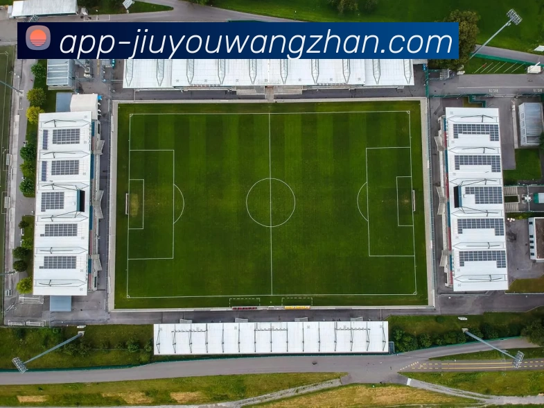 九游官网APP 封面图